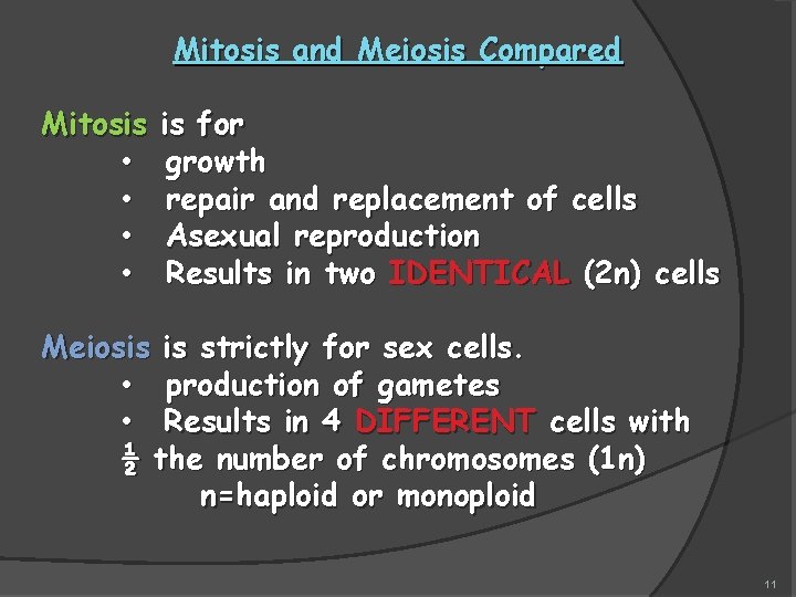 Mitosis and Meiosis Compared Mitosis • • is for growth repair and replacement of