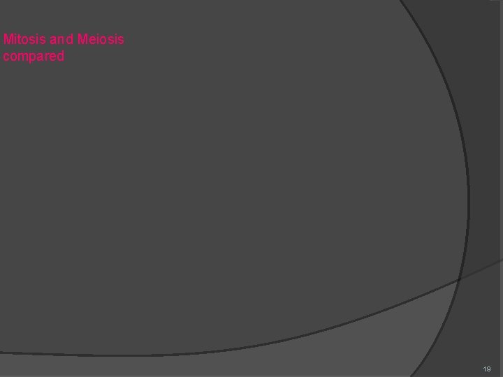 Mitosis and Meiosis compared 19 