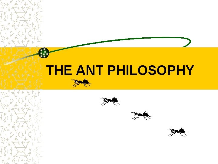 THE ANT PHILOSOPHY 