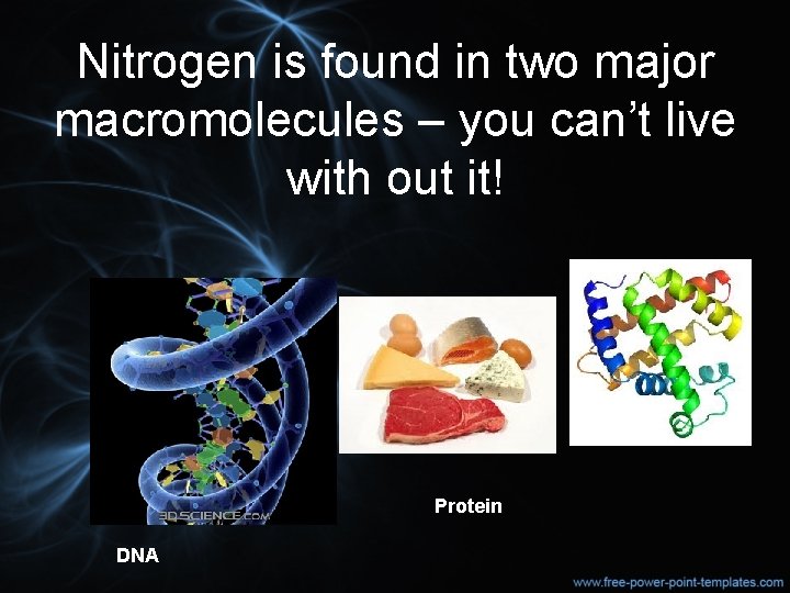 Nitrogen is found in two major macromolecules – you can’t live with out it!