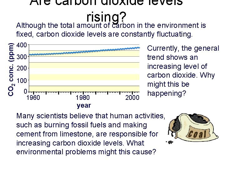 Are carbon dioxide levels rising? Although the total amount of carbon in the environment