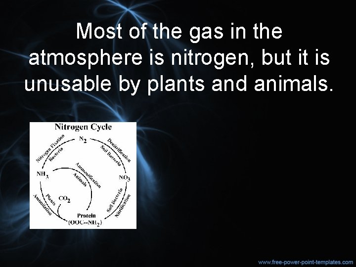 Most of the gas in the atmosphere is nitrogen, but it is unusable by