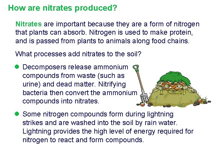 How are nitrates produced? Nitrates are important because they are a form of nitrogen