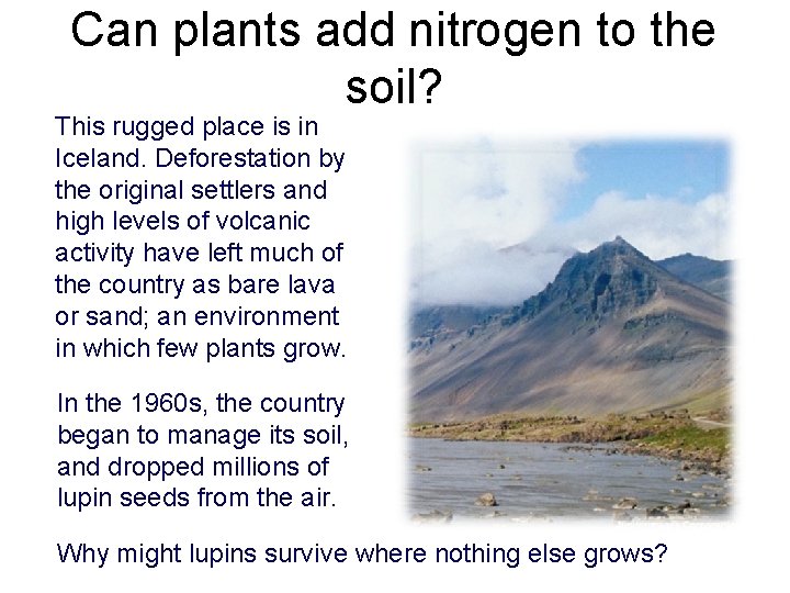 Can plants add nitrogen to the soil? This rugged place is in Iceland. Deforestation