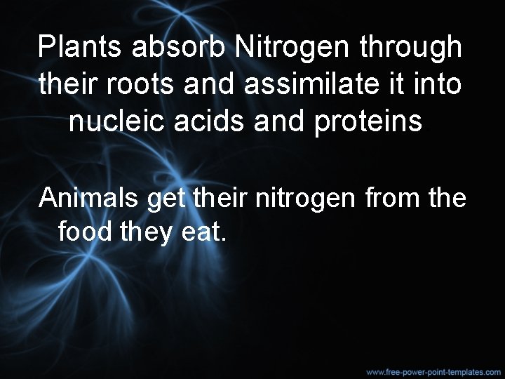 Plants absorb Nitrogen through their roots and assimilate it into nucleic acids and proteins.