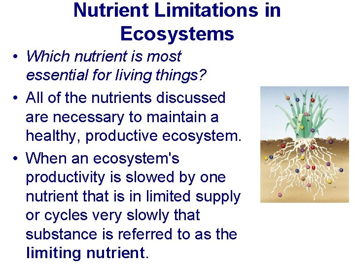 Nutrient Limitations in Ecosystems • Which nutrient is most essential for living things? •