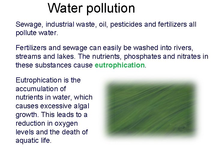 Water pollution Sewage, industrial waste, oil, pesticides and fertilizers all pollute water. Fertilizers and