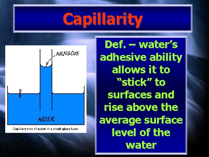 Capillarity Def. – water’s adhesive ability allows it to “stick” to surfaces and rise