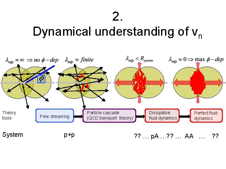 2. Dynamical understanding of vn Theory tools: System Free streaming p+p Particle cascade (QCD
