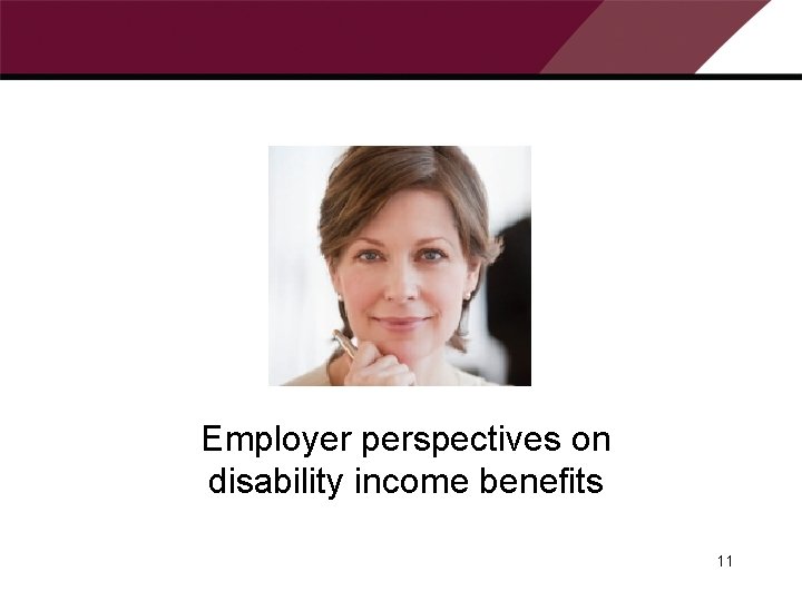 Employer perspectives on disability income benefits 11 