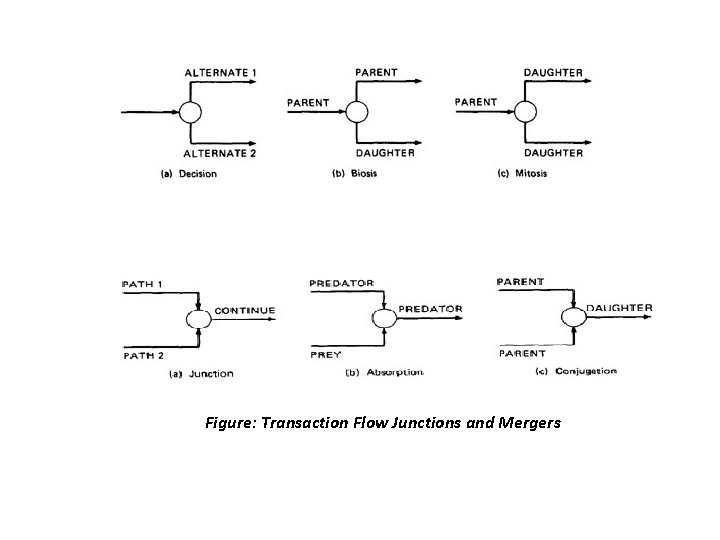 Figure: Transaction Flow Junctions and Mergers 