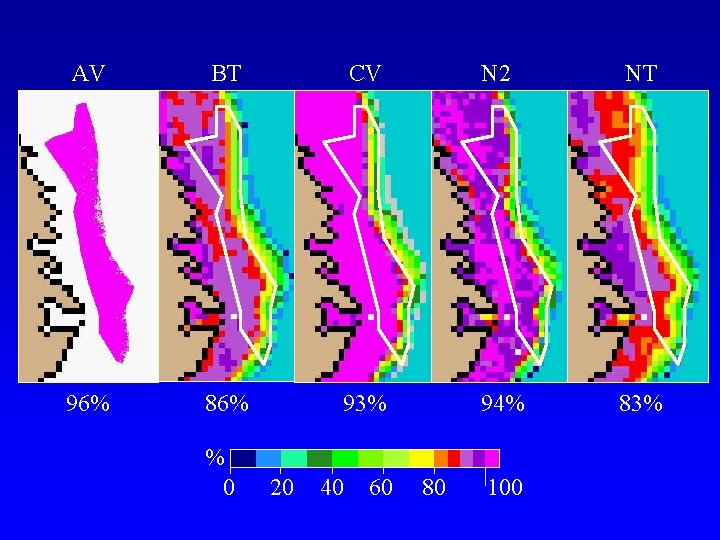 AV BT CV N 2 NT 96% 86% 93% 94% 83% % 0 20