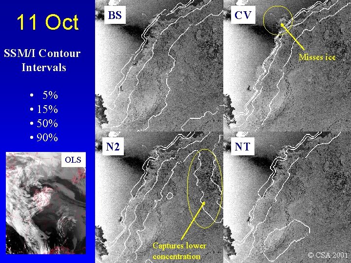 11 Oct BS CV SSM/I Contour Intervals • 5% • 15% • 50% •