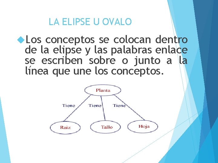 LA ELIPSE U OVALO Los conceptos se colocan dentro de la elipse y las