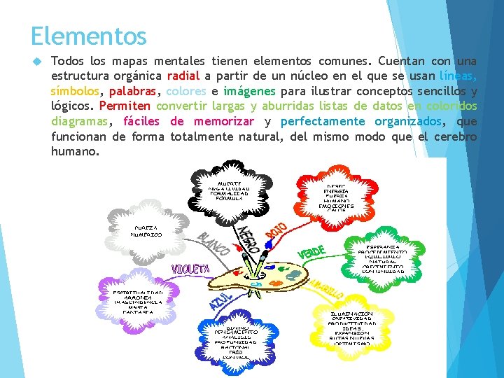 Elementos Todos los mapas mentales tienen elementos comunes. Cuentan con una estructura orgánica radial