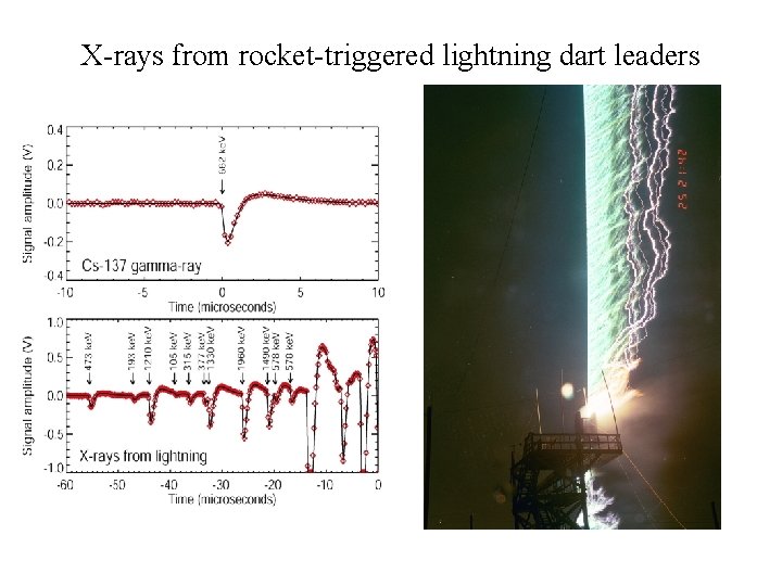 X-rays from rocket-triggered lightning dart leaders 