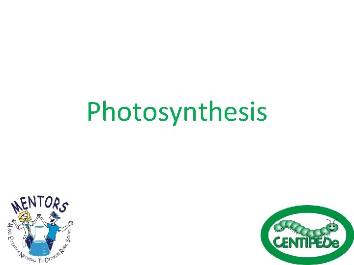 Photosynthesis 