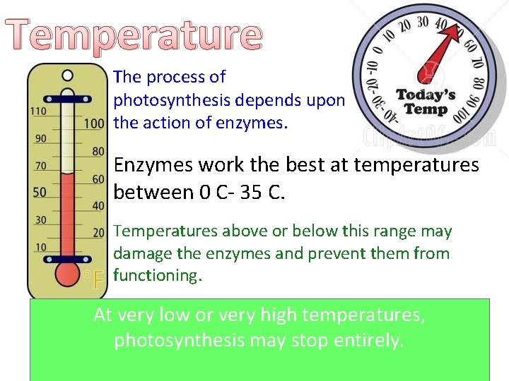 Temperature The process of photosynthesis depends upon the action of enzymes. Enzymes work the