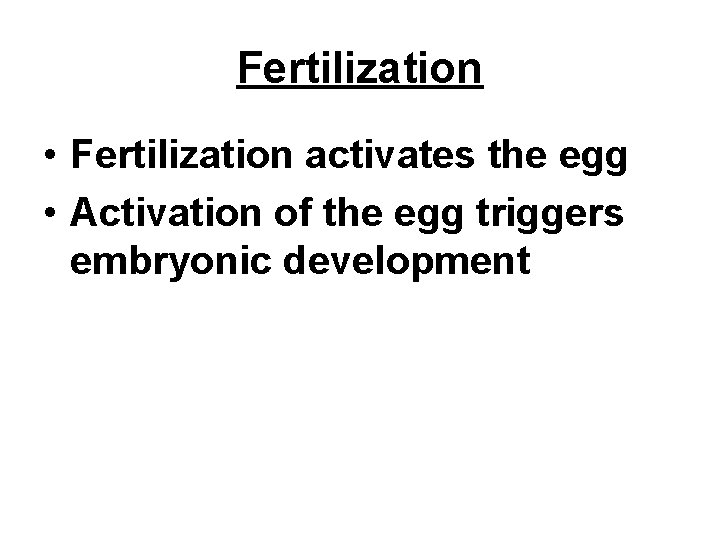 Fertilization • Fertilization activates the egg • Activation of the egg triggers embryonic development