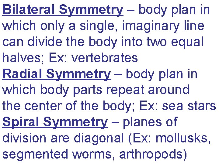 Bilateral Symmetry – body plan in which only a single, imaginary line can divide