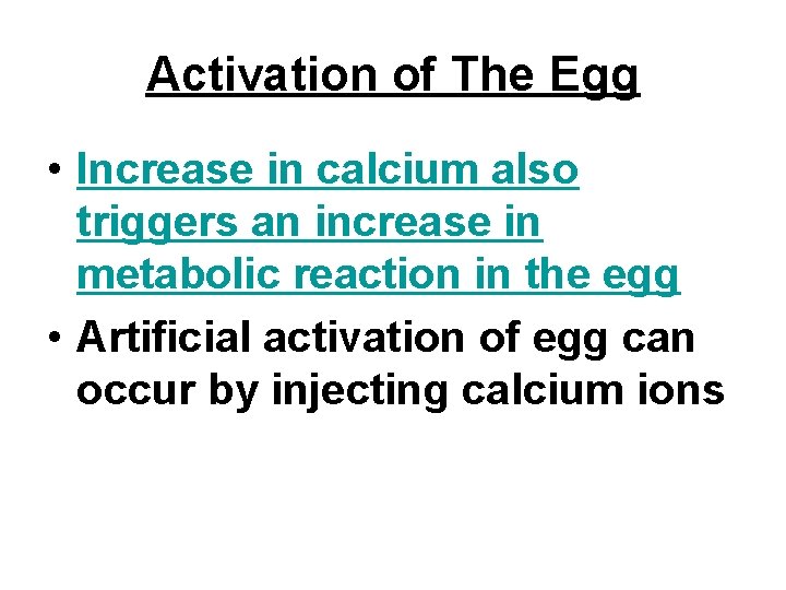 Activation of The Egg • Increase in calcium also triggers an increase in metabolic