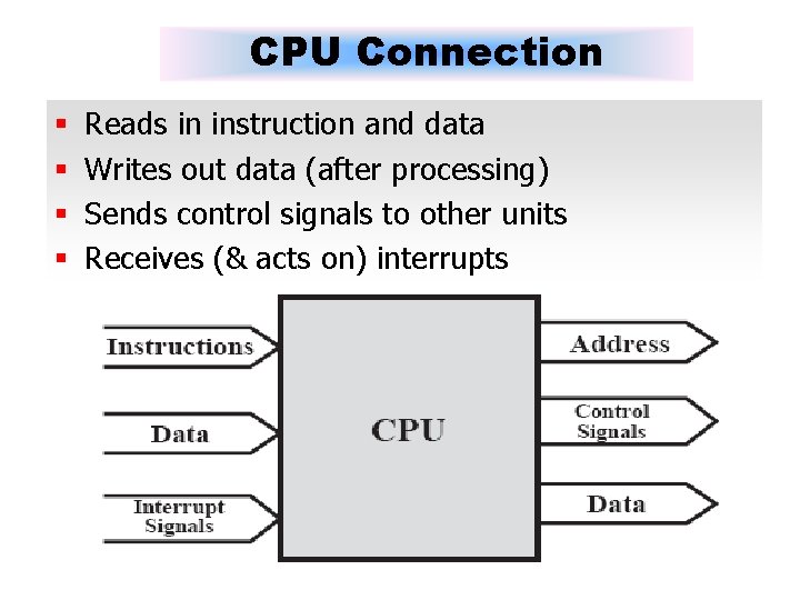 CPU Connection § § Reads in instruction and data Writes out data (after processing)