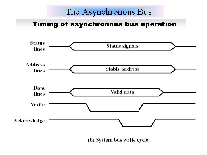 The Asynchronous Bus Timing of asynchronous bus operation 