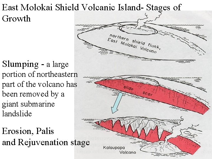 East Molokai Shield Volcanic Island- Stages of Growth Slumping - a large portion of