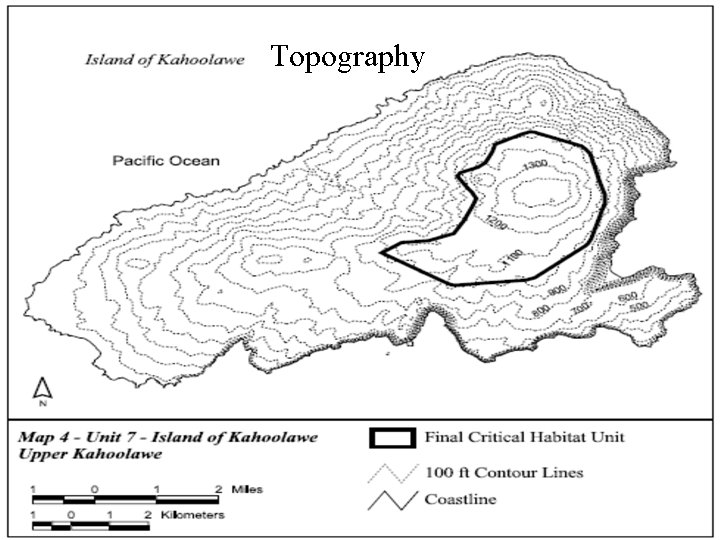 Topography 