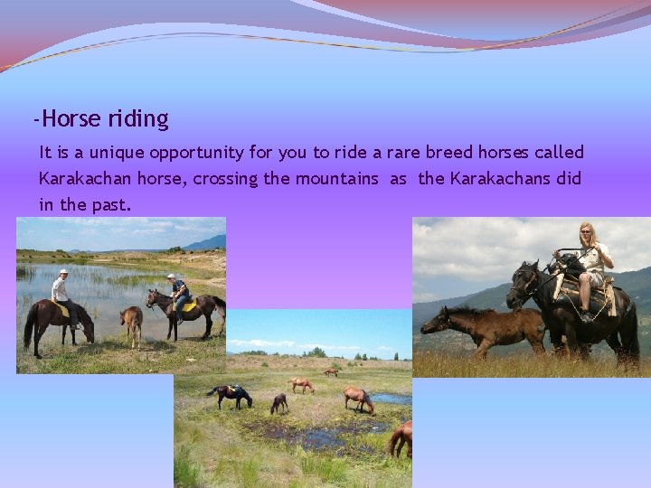 -Horse riding It is a unique opportunity for you to ride a rare breed