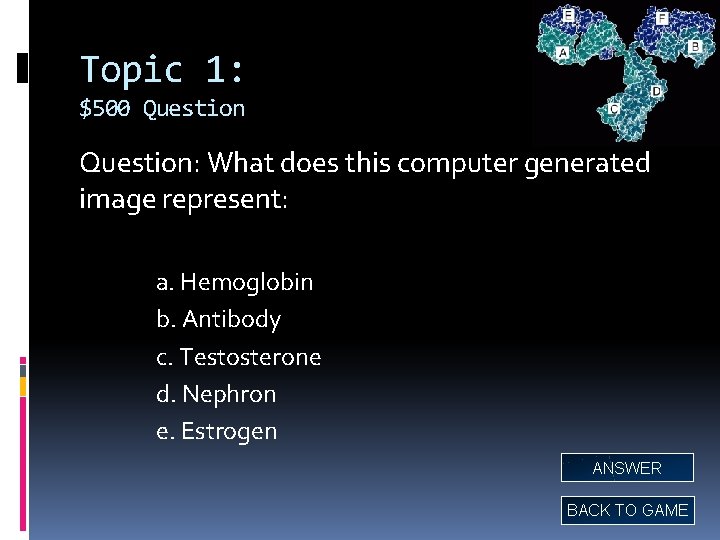 Topic 1: $500 Question: What does this computer generated image represent: a. Hemoglobin b.