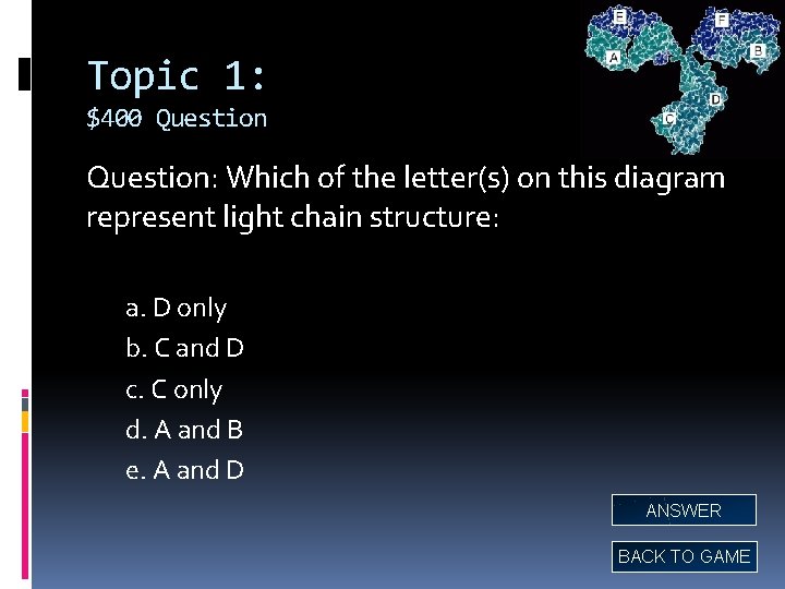 Topic 1: $400 Question: Which of the letter(s) on this diagram represent light chain