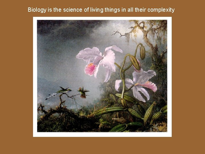 Biology is the science of living things in all their complexity 