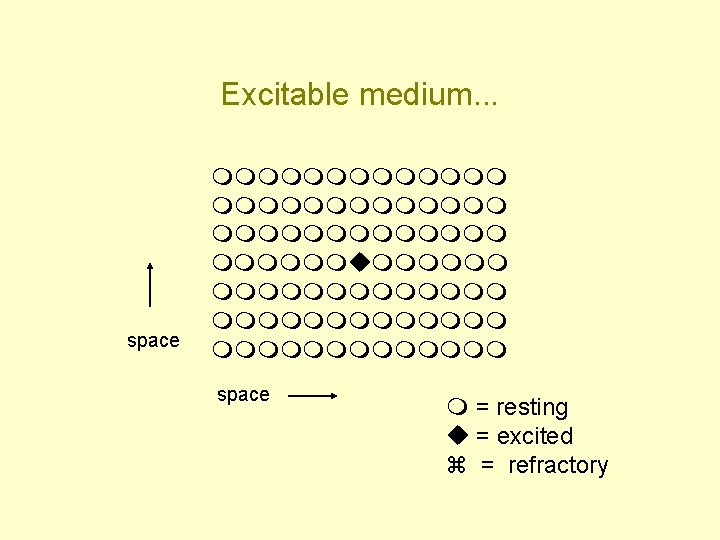 Excitable medium. . . space mmmmmmmmmmmmm mmmmmmummmmmmmmmmmmm space m = resting u = excited