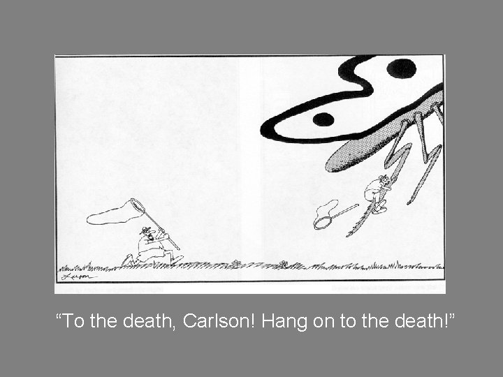 “To the death, Carlson! Hang on to the death!” 