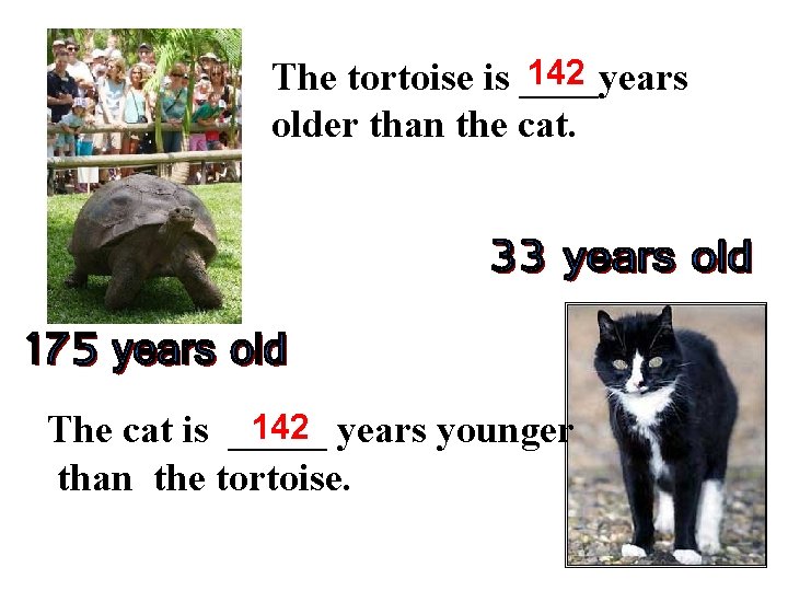 142 The tortoise is ____years older than the cat. 142 years younger The cat