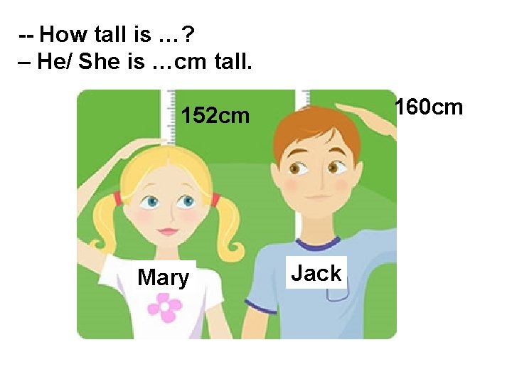 -- How tall is …? – He/ She is …cm tall. 160 cm 152