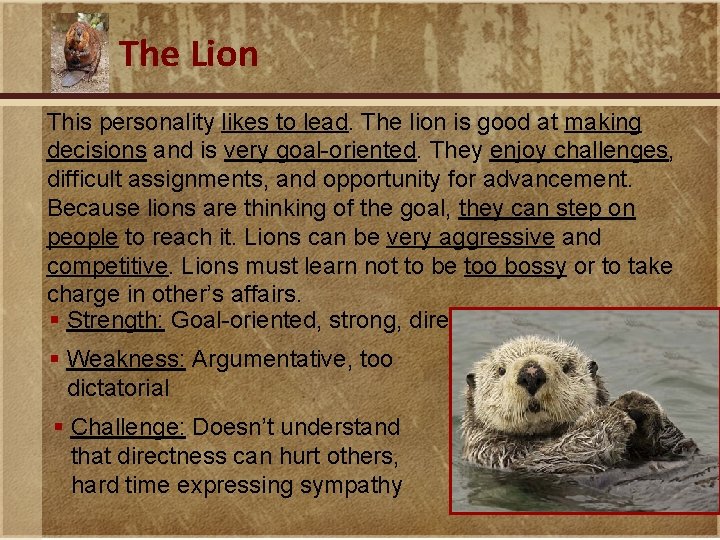 The Lion This personality likes to lead. The lion is good at making decisions