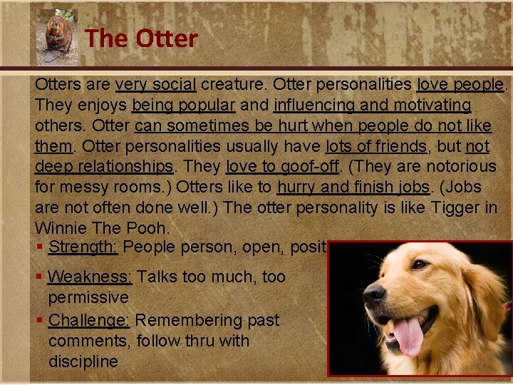 The Otters are very social creature. Otter personalities love people. They enjoys being popular