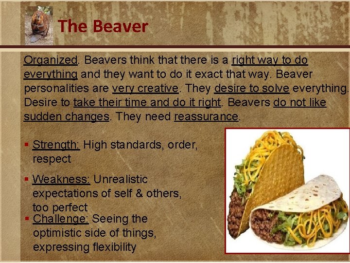 The Beaver Organized. Beavers think that there is a right way to do everything