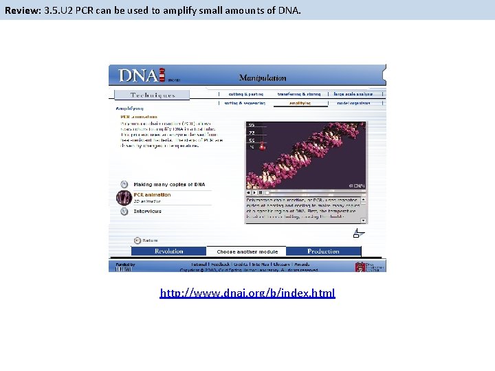 Review: 3. 5. U 2 PCR can be used to amplify small amounts of