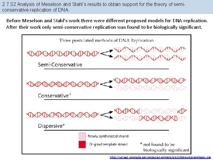 2. 7. S 2 Analysis of Meselson and Stahl’s results to obtain support for