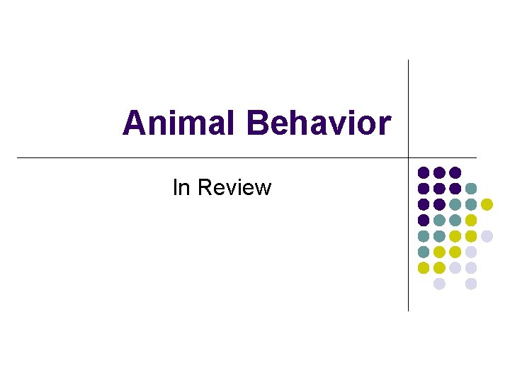 Animal Behavior In Review 