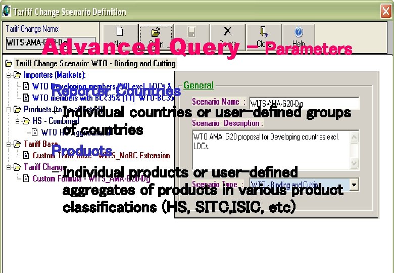 Advanced Query – Parameters Reporter Countries – Individual countries or user-defined groups of countries Advanced Query – Parameters Reporter Countries – Individual countries or user-defined groups of countries