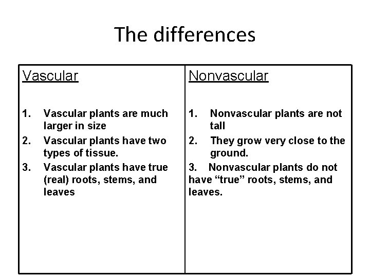 The differences Vascular Nonvascular 1. 2. 3. Vascular plants are much larger in size