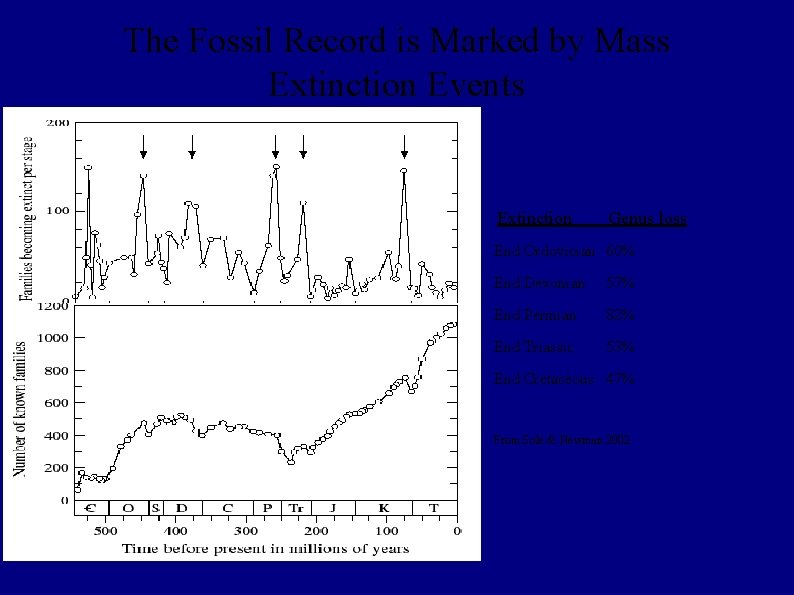 The Fossil Record is Marked by Mass Extinction Events Extinction Genus loss End Ordovician