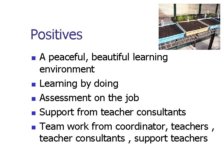 Positives n n n A peaceful, beautiful learning environment Learning by doing Assessment on Positives n n n A peaceful, beautiful learning environment Learning by doing Assessment on