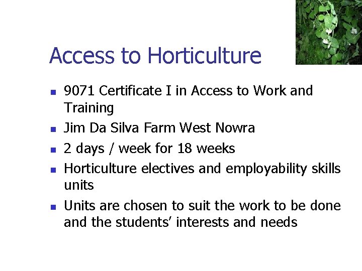 Access to Horticulture n n n 9071 Certificate I in Access to Work and Access to Horticulture n n n 9071 Certificate I in Access to Work and