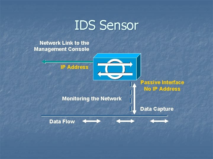IDS Sensor Network Link to the Management Console IP Address Passive Interface No IP