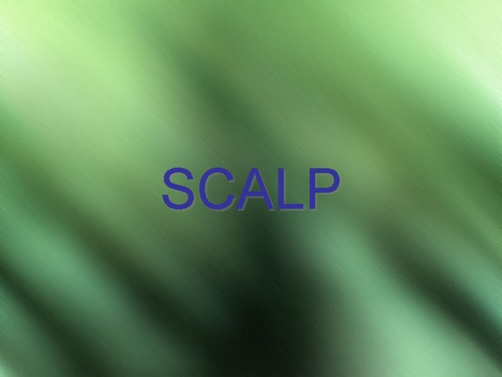 SCALP 